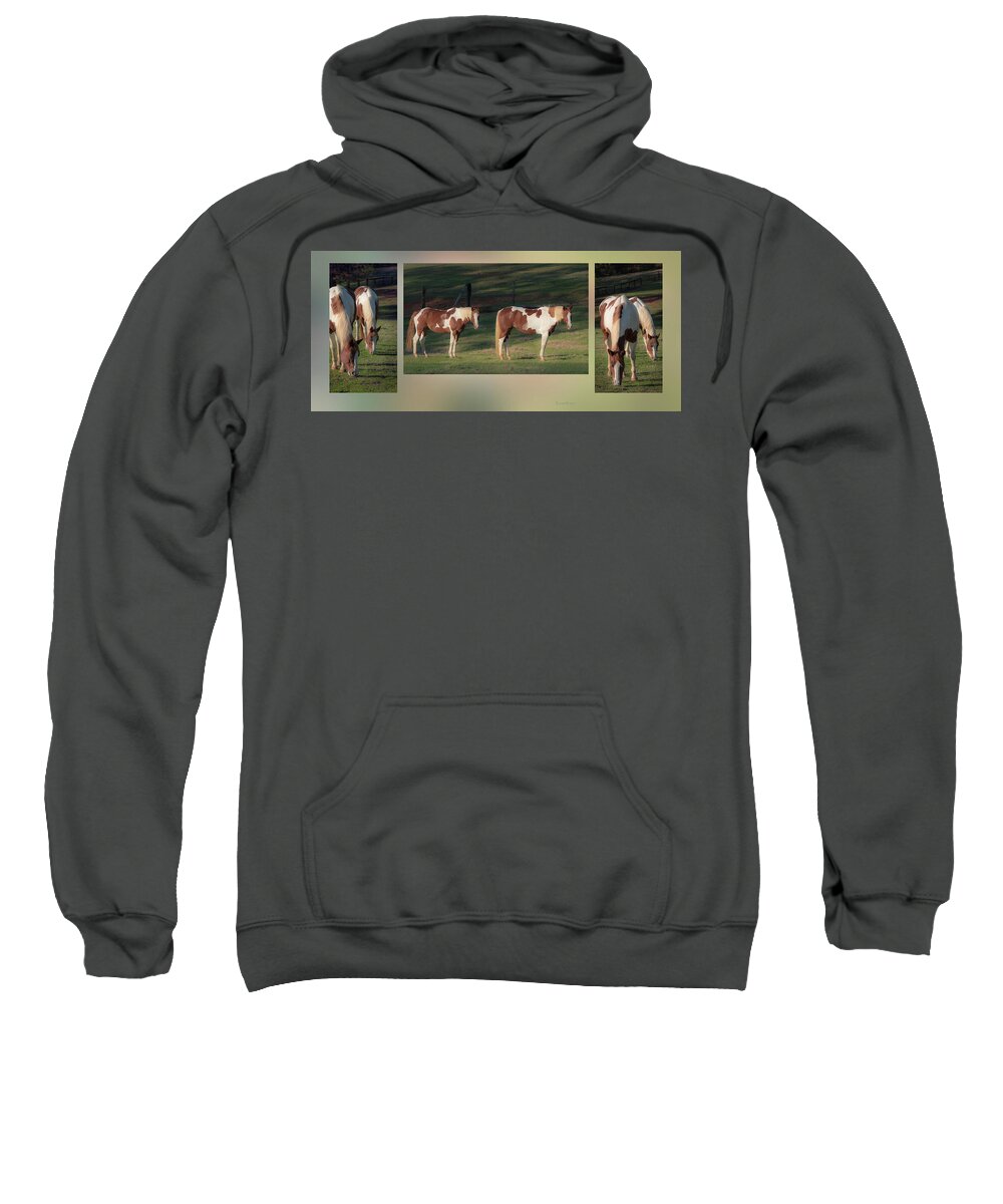 Horse Sweatshirt featuring the photograph Paint horses by Karen Rispin