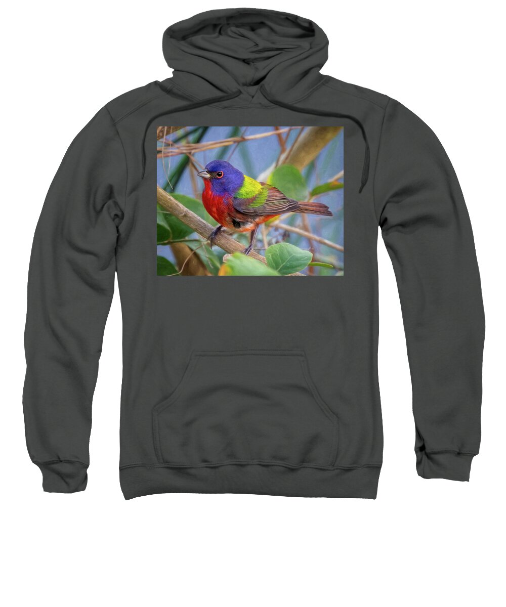 Painted Bunting Sweatshirt featuring the photograph Painted Bunting by Jaki Miller
