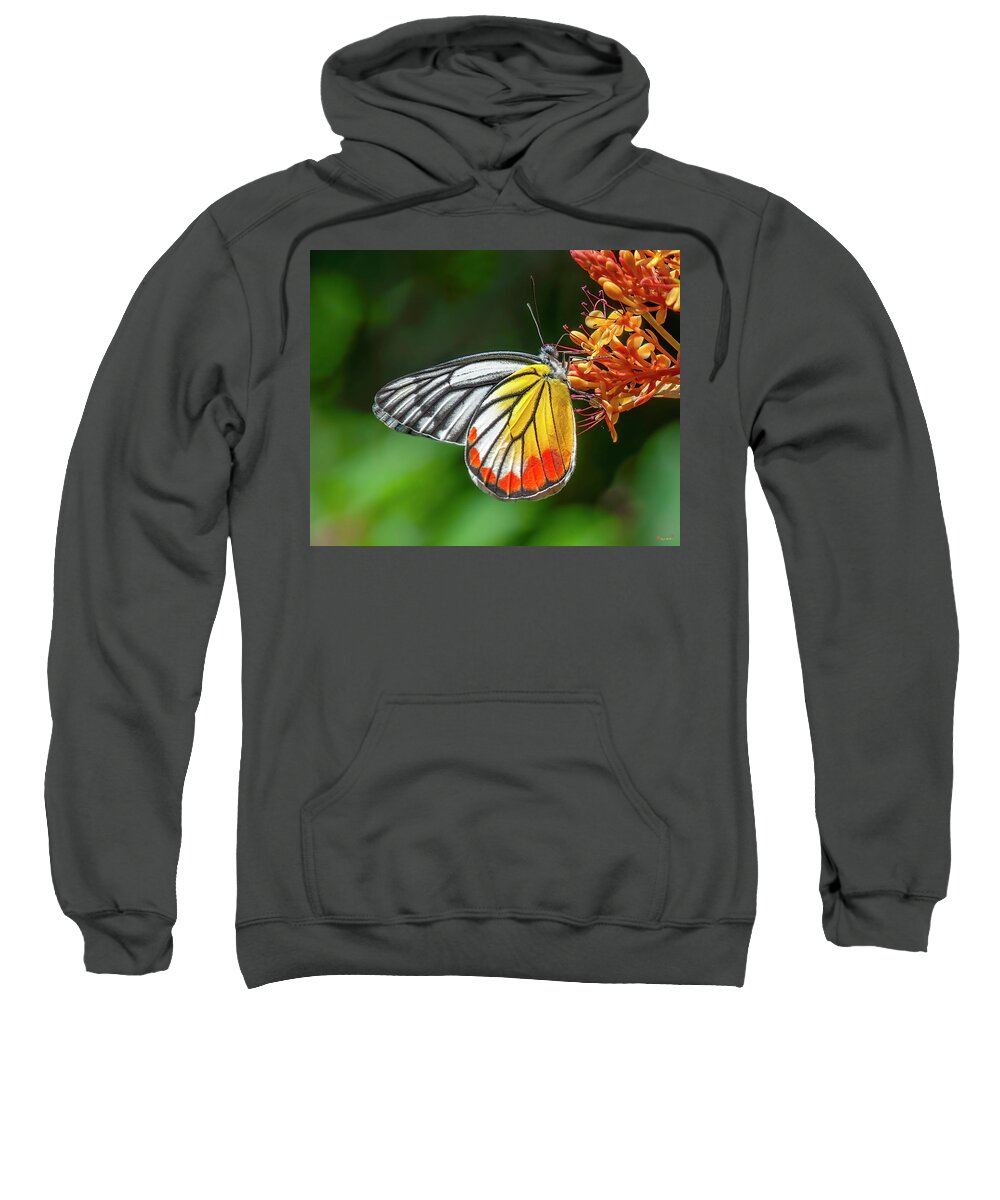 Nature Sweatshirt featuring the photograph Painted Jezebel Butterfly DTHN0303 by Gerry Gantt