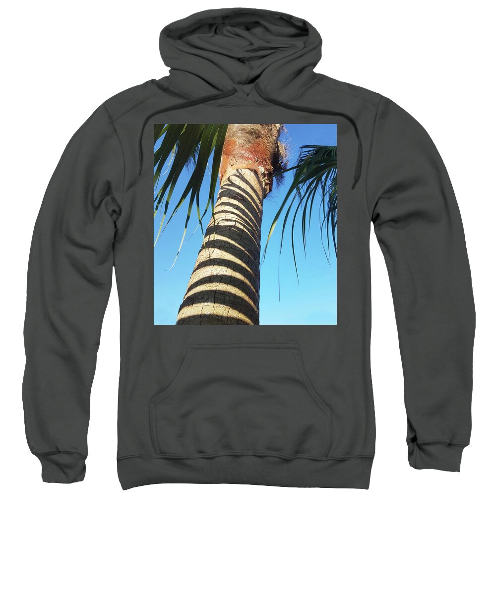 Abstract Sweatshirt featuring the photograph Palm Stripes by Sharon Williams Eng