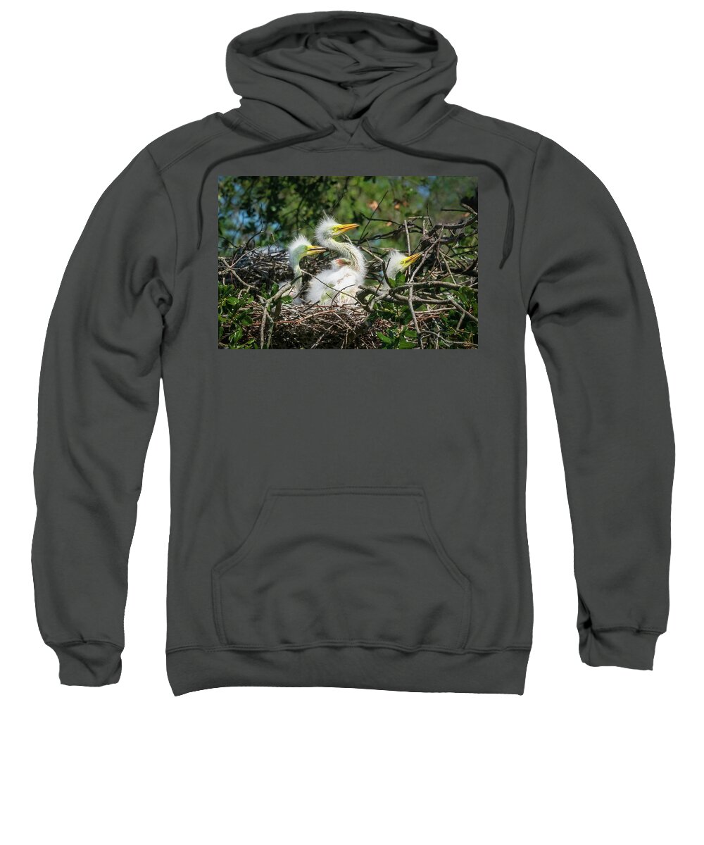 Bird Sweatshirt featuring the photograph Patiently Waiting by John Kirkland