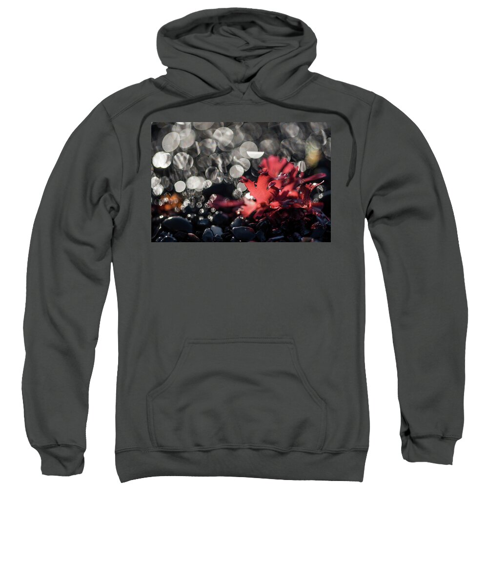 Blooms Sweatshirt featuring the photograph Pebbles and Seaweed by Robert Potts