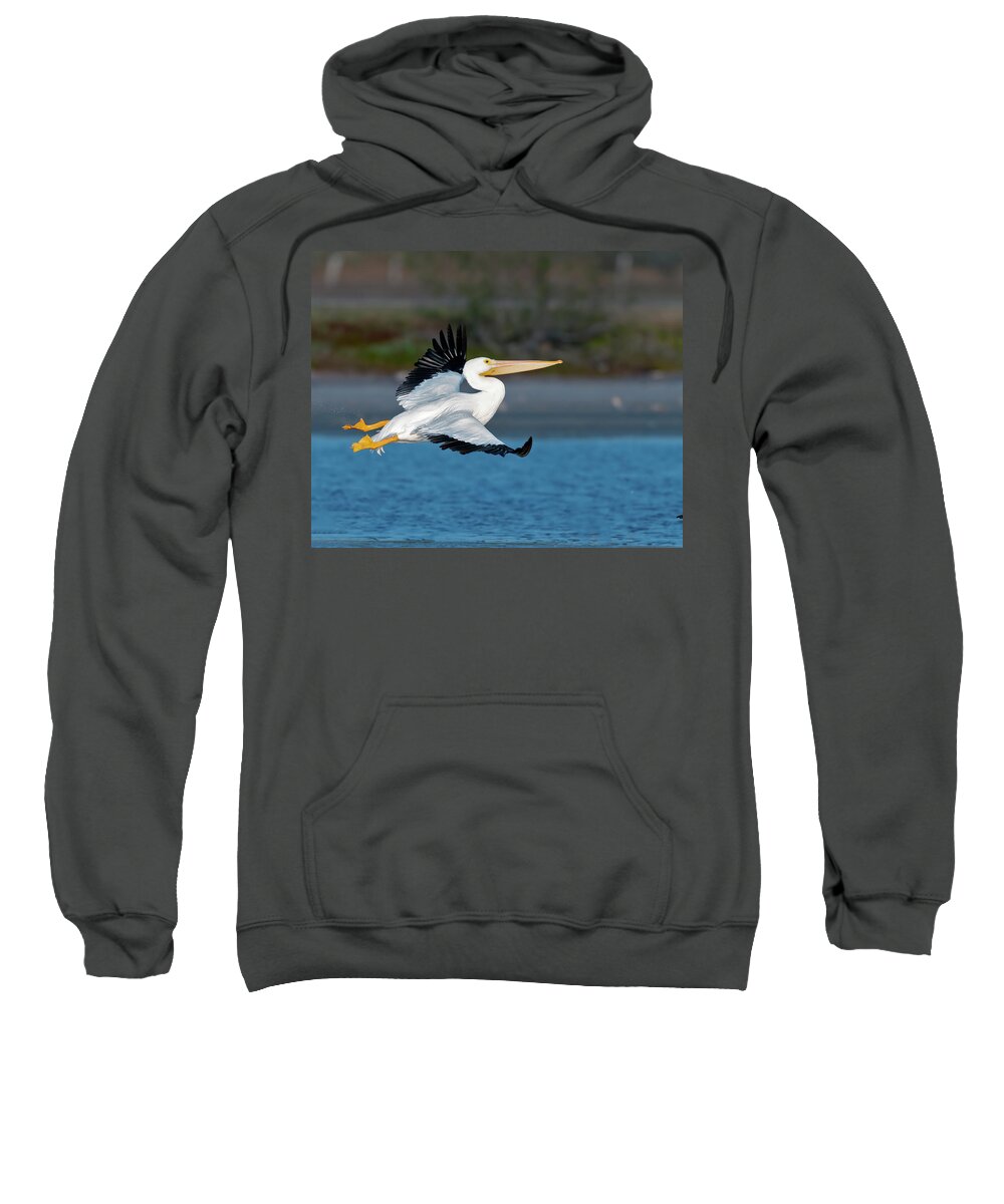 Pelican Sweatshirt featuring the photograph Pelican lift off by Gary Langley