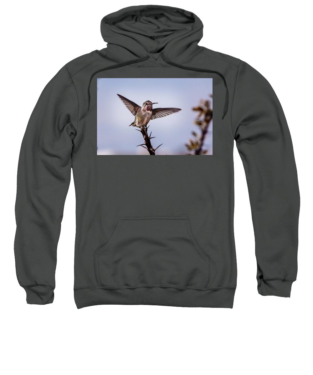 Arizona Sweatshirt featuring the photograph Perfect Landing by Jack and Darnell Est