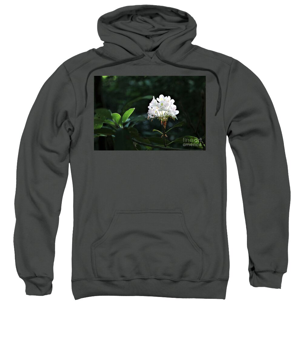 Landscape Sweatshirt featuring the photograph Perfect light by Theresa D Williams