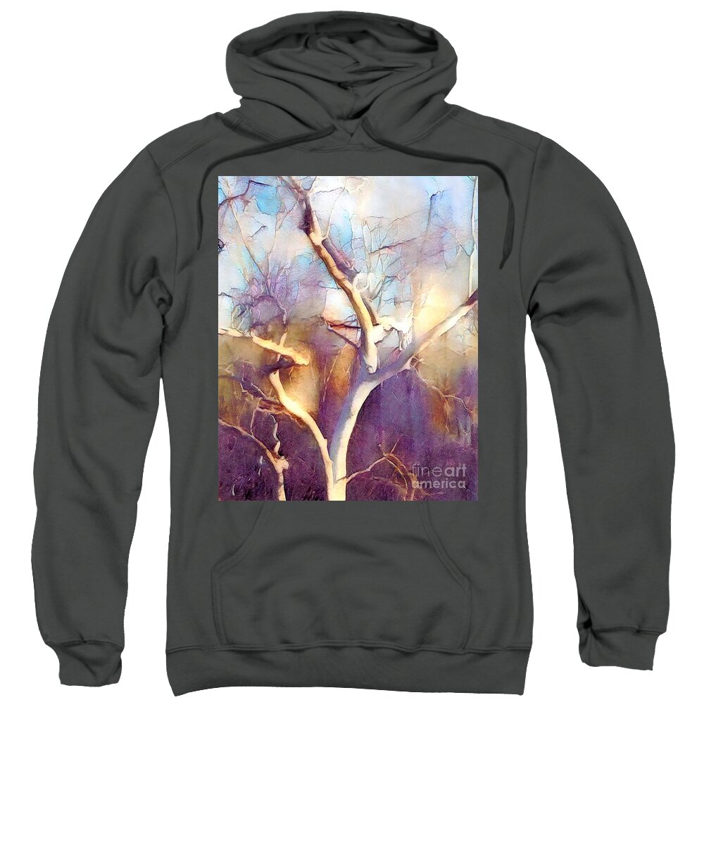 Bold Colors Sweatshirt featuring the digital art Perspective by Denise Nickey