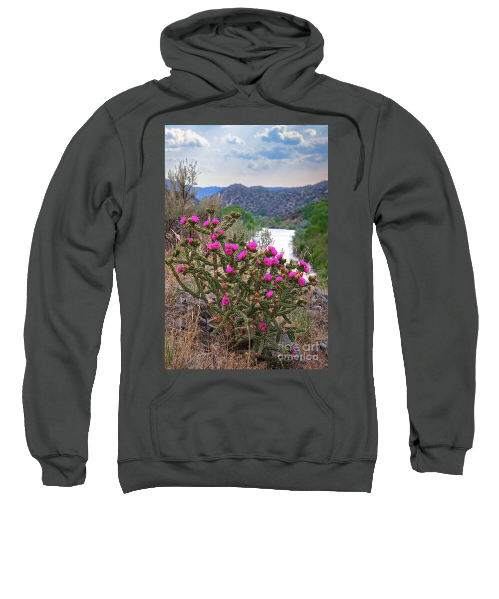 Taos Sweatshirt featuring the photograph Pilar Cactus 1 by Elijah Rael