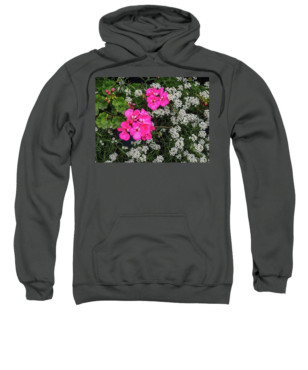 Flower Sweatshirt featuring the photograph Pink and White Flowers 683 by James C Richardson