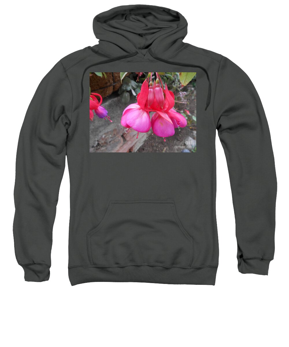 Flower Sweatshirt featuring the photograph Pink blossom by Nancy Graham