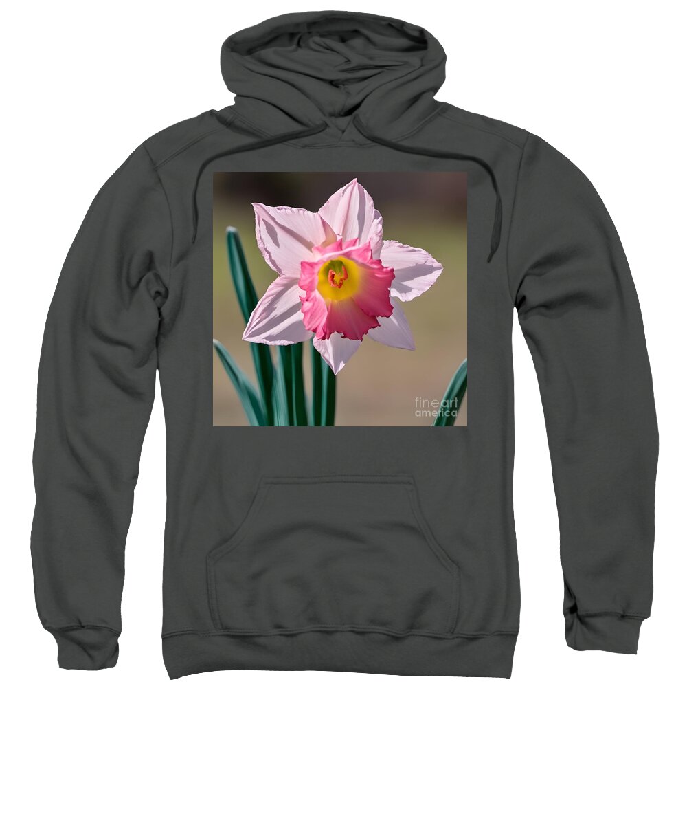 Pink Sweatshirt featuring the digital art Pink Daffodil by Rachel Hannah