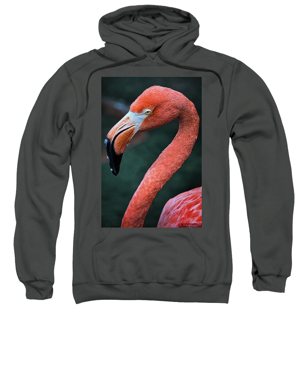 Bird Sweatshirt featuring the photograph Pink Flamingo by Rene Vasquez