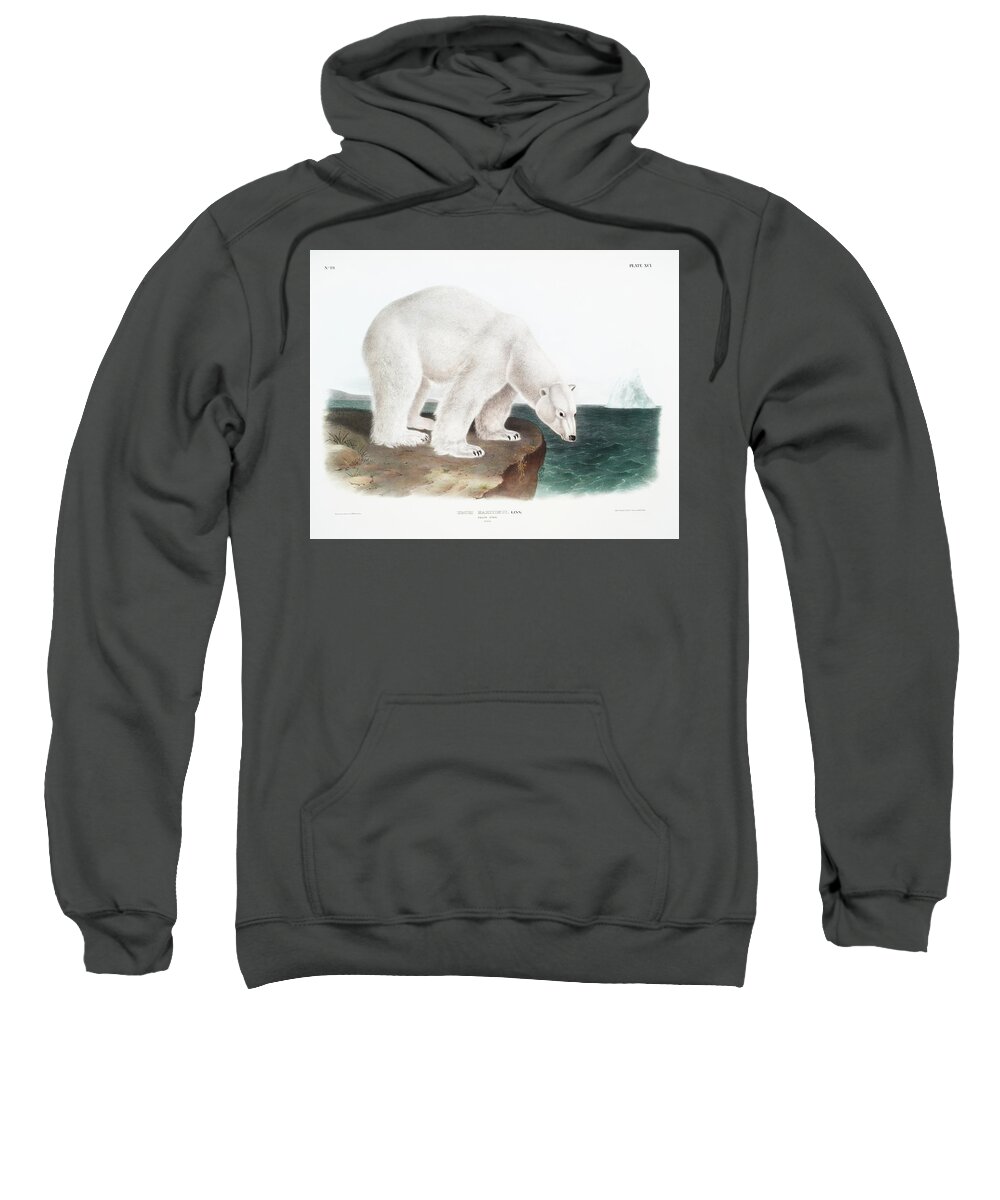 American Animals Sweatshirt featuring the mixed media Polar Bear John Woodhouse Audubon by World Art Collective