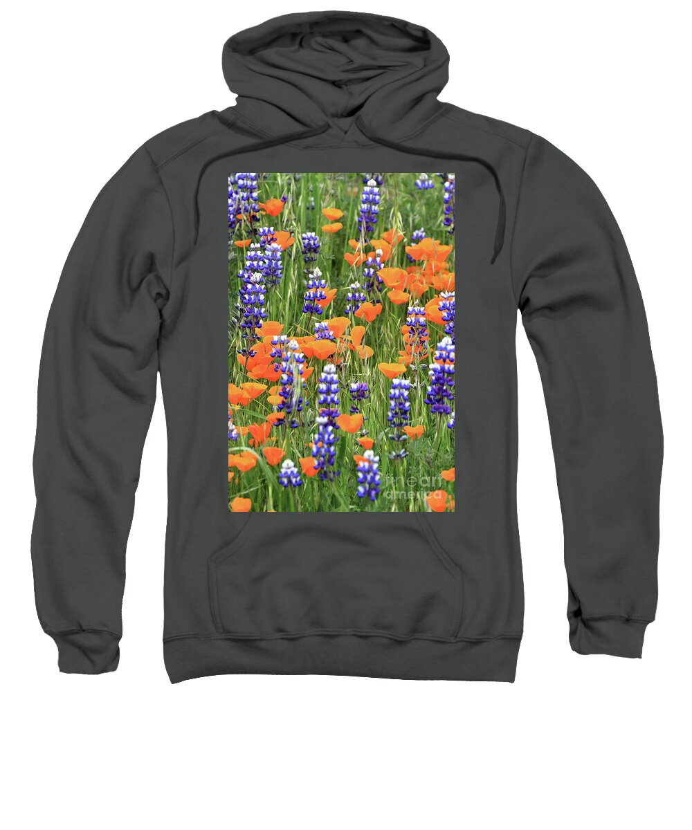 Poppy Sweatshirt featuring the photograph Poppies and Lupines by Vivian Krug Cotton