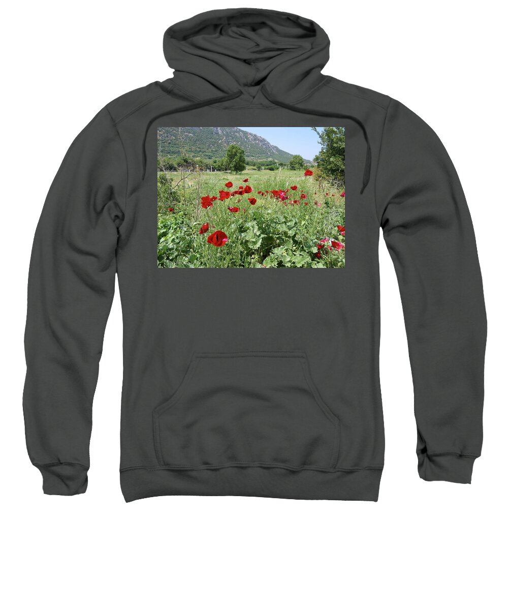 Turkey Sweatshirt featuring the photograph Poppies in Ephesus by Lisa Mutch