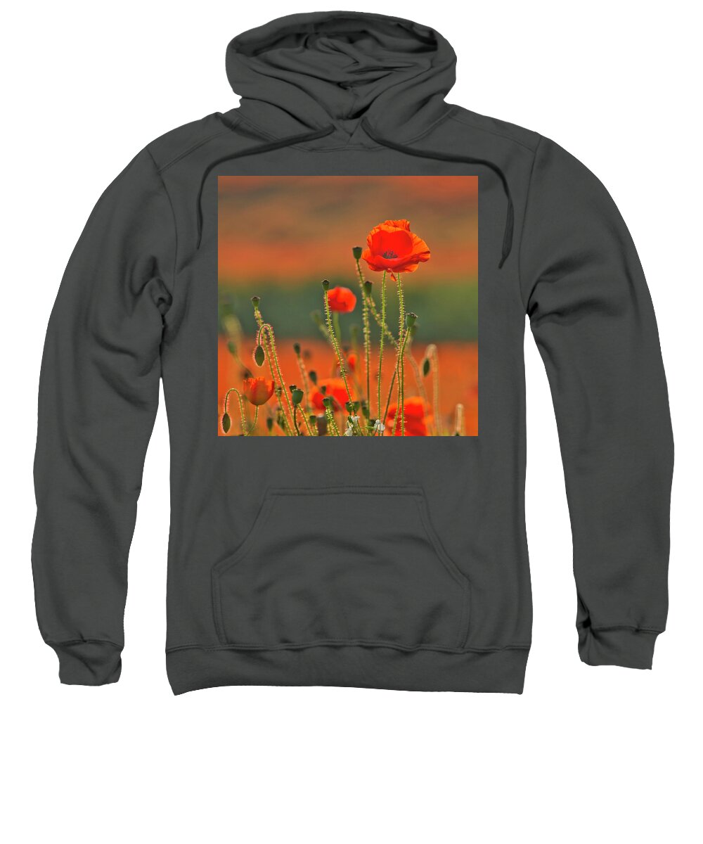 Landscape Sweatshirt featuring the photograph Poppy field 6 by Remigiusz MARCZAK