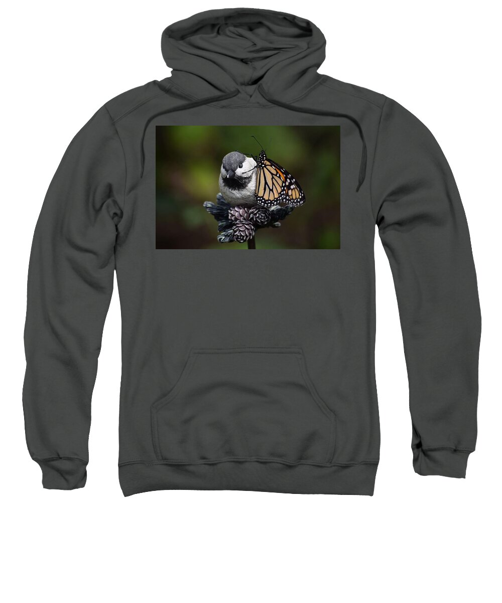 Butterfly Sweatshirt featuring the photograph Porcelain Perch by Victor Thomason