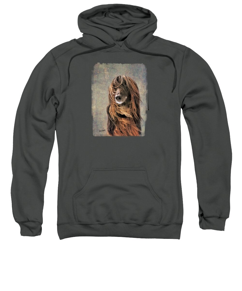 Dog Sweatshirt featuring the photograph Portrait of an Afghan Hound by Diane Chandler