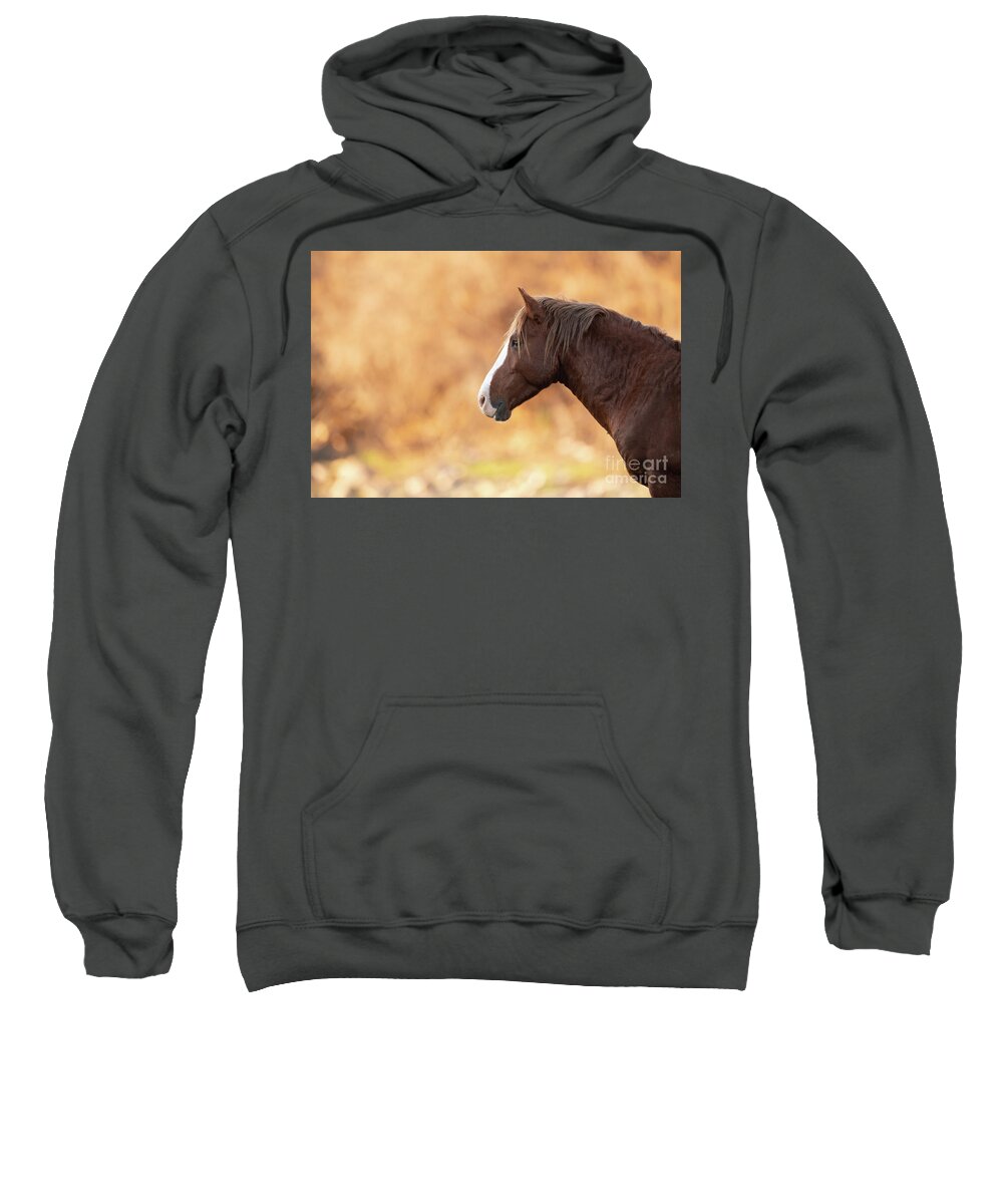 Stallion Sweatshirt featuring the photograph Portrait by Shannon Hastings