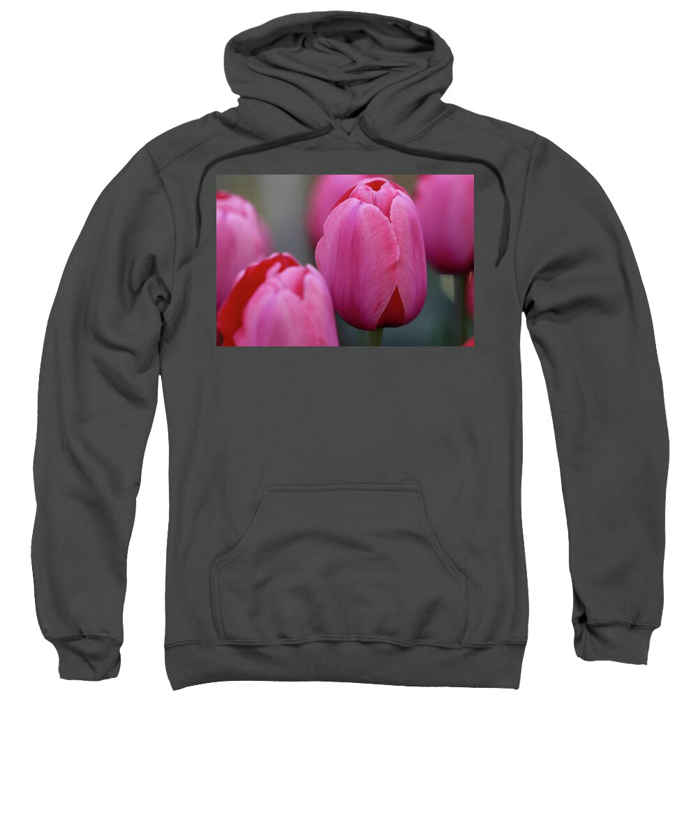 Tulip Sweatshirt featuring the photograph Pretty in Pink by Mary Anne Delgado