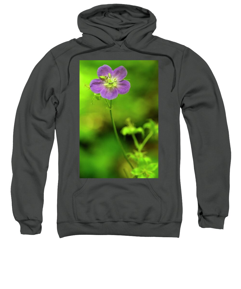 Blue Ridge Mountains Sweatshirt featuring the photograph Purple and Green by Melissa Southern