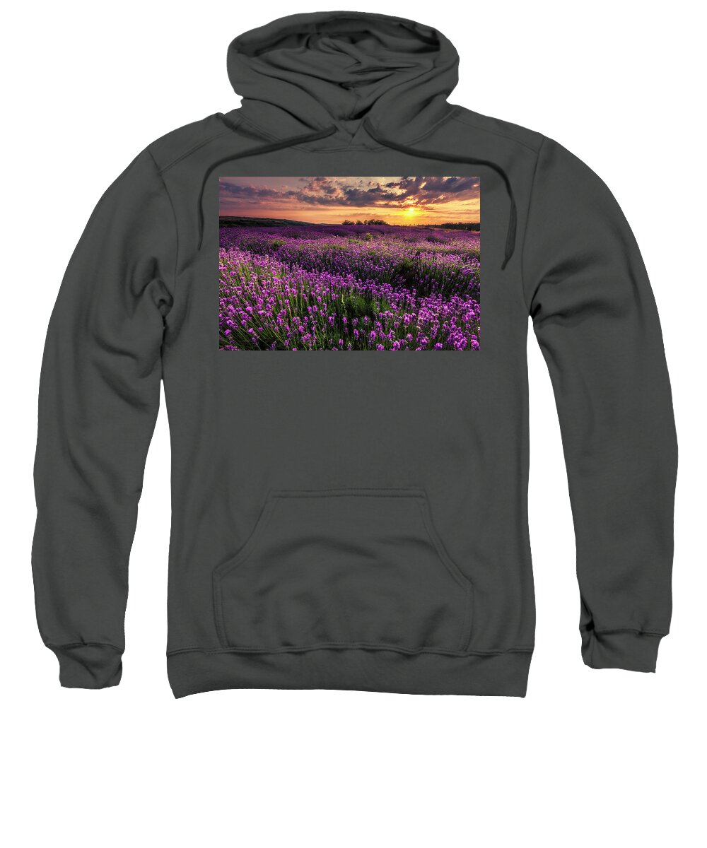 Bulgaria Sweatshirt featuring the photograph Purple Sea by Evgeni Dinev