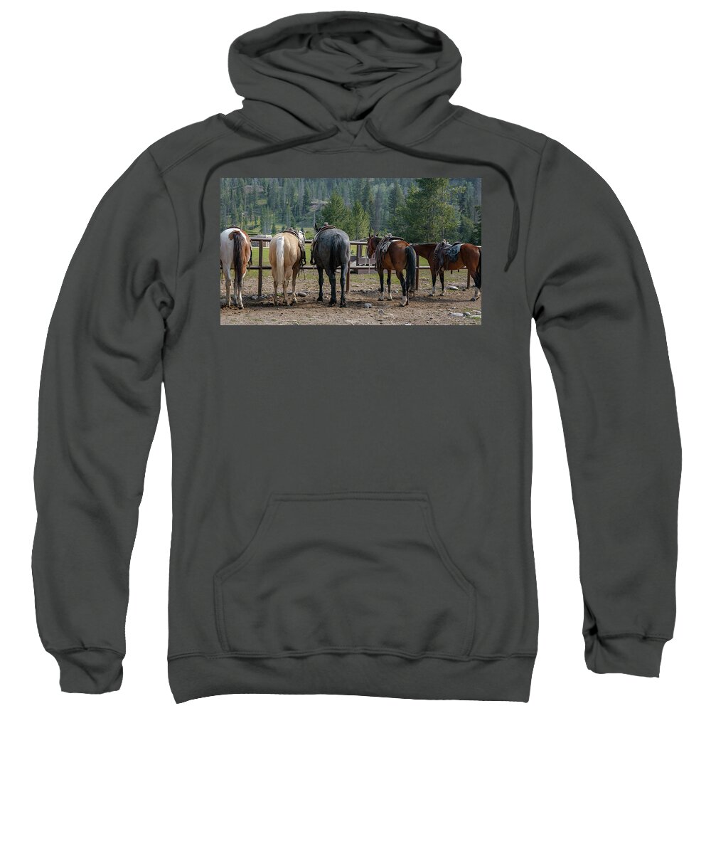 Horse Sweatshirt featuring the photograph Ready To Ride by Steve Kelley