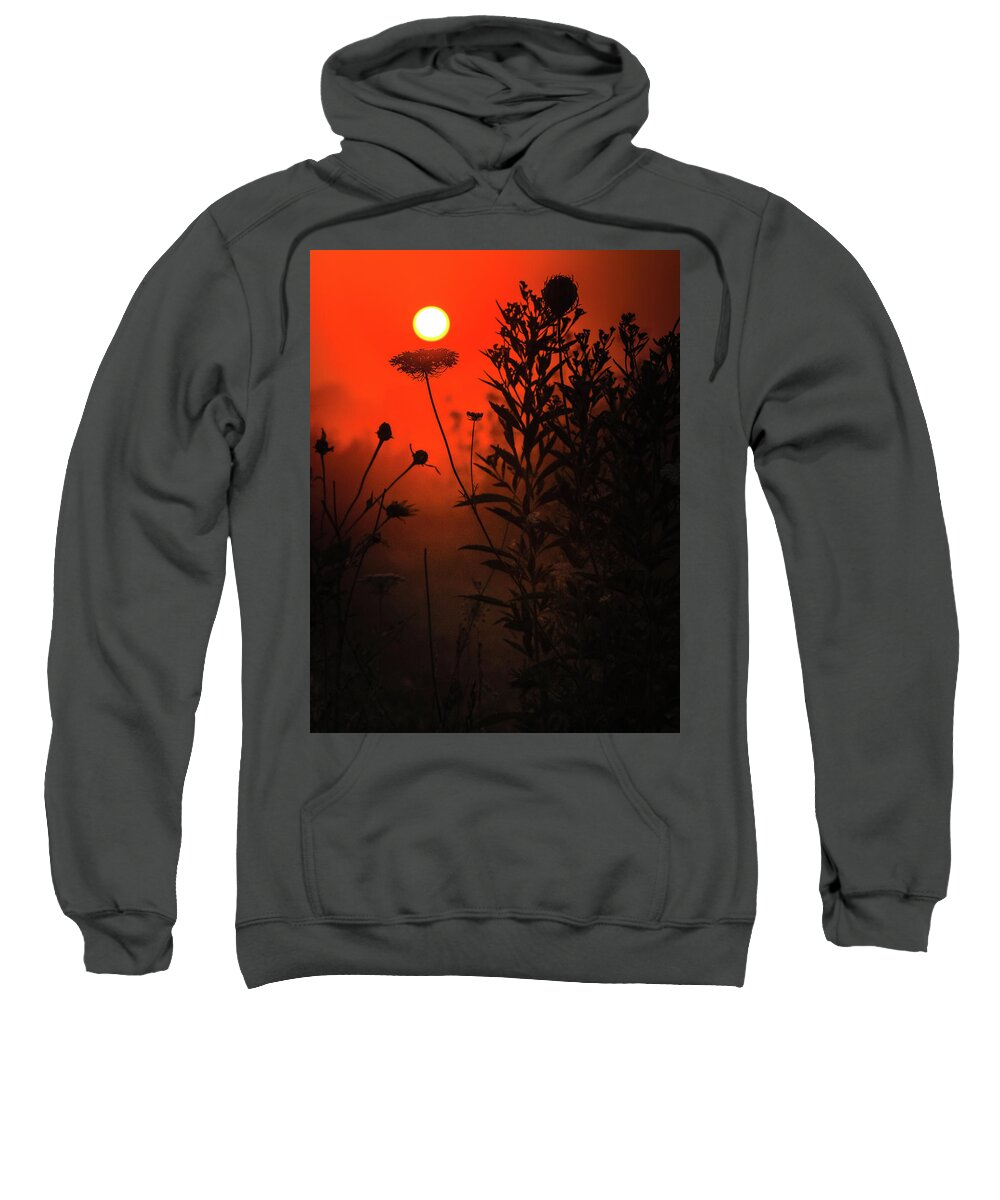 Red Morning Field Sweatshirt featuring the photograph Red Morning Field by Dan Sproul