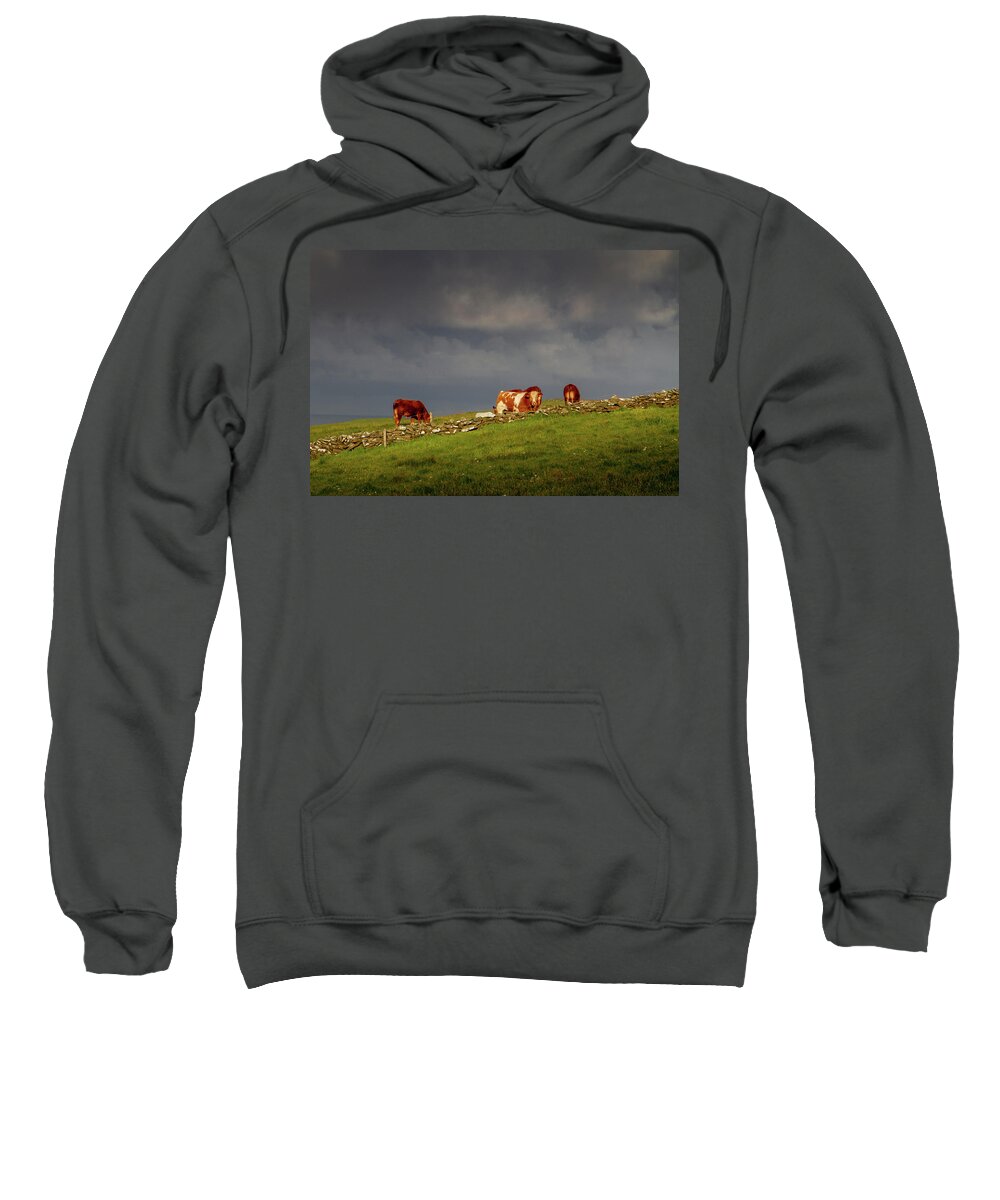 Red Cow Sweatshirt featuring the photograph Red on the Horizon by Mark Callanan
