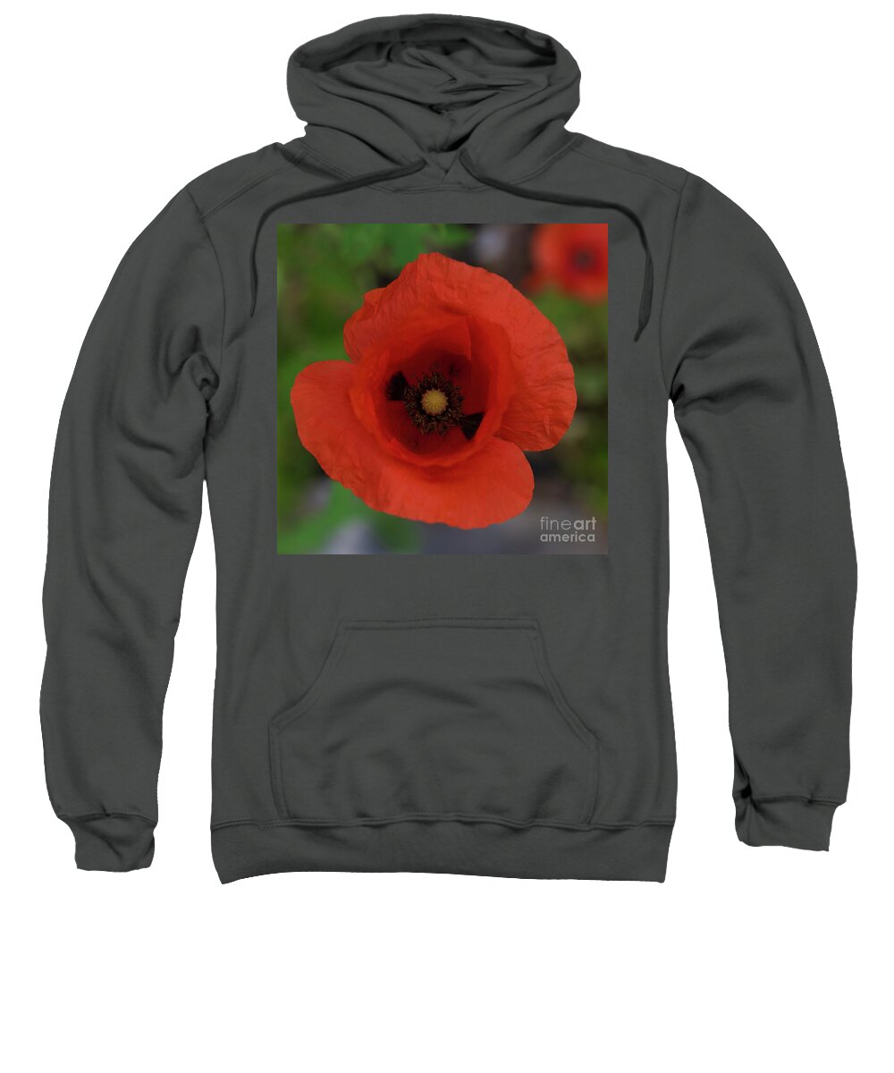Flower Sweatshirt featuring the photograph Red Poppy by Patrick Nowotny