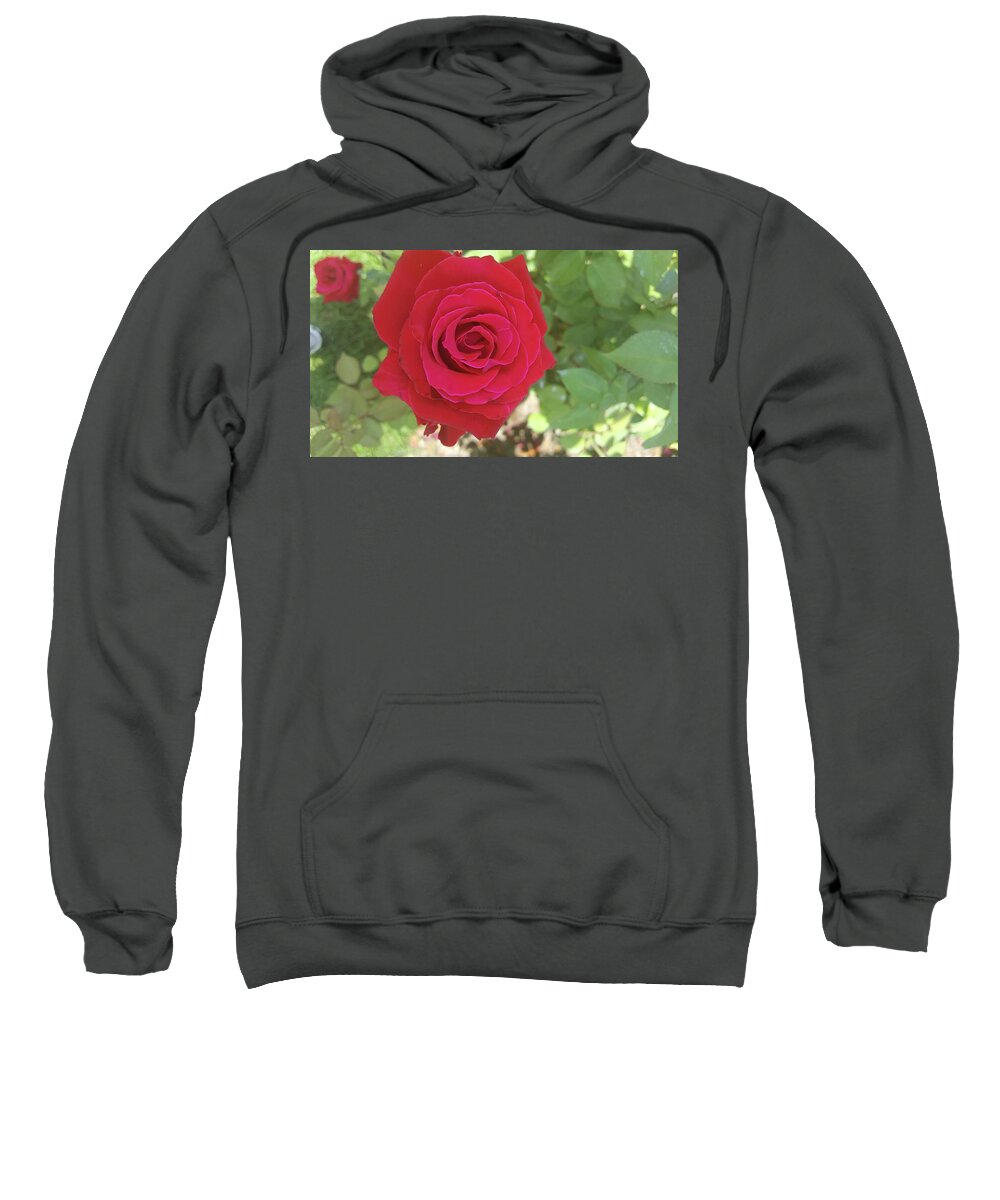 Flowers Sweatshirt featuring the photograph Red Rose by Pour Your heART Out Artworks