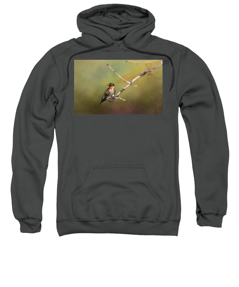 Hummingbird Sweatshirt featuring the photograph Resting Hummingbird by Pam Rendall