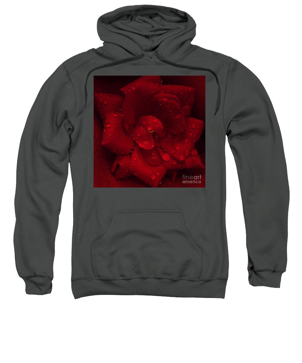 Rose Sweatshirt featuring the photograph Rose with Water Droplets by Patrick Nowotny