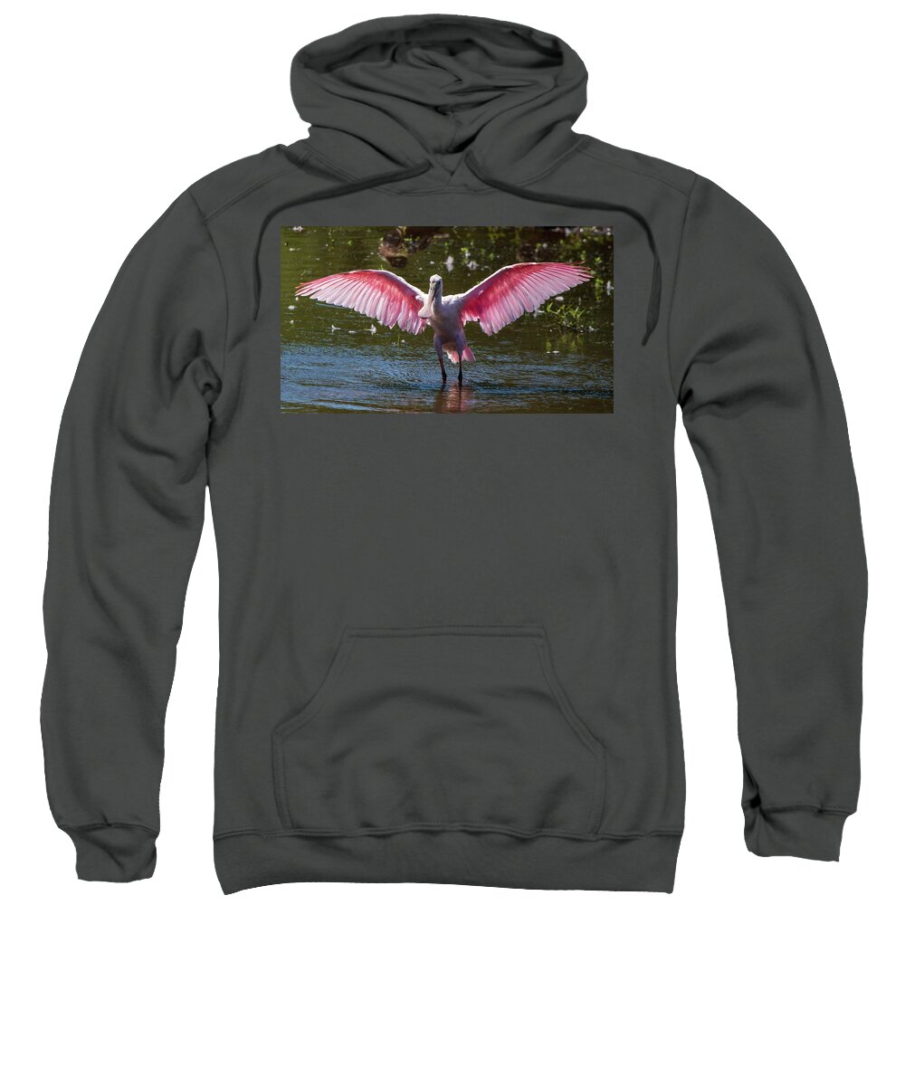 Plataea Ajija Sweatshirt featuring the photograph Roseate Spoonbill - I Believe I Can Fly by Chad Meyer
