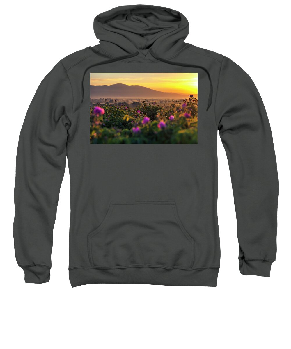 Bulgaria Sweatshirt featuring the photograph Roses Valley by Evgeni Dinev