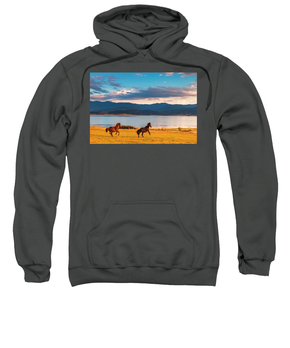 Animal Sweatshirt featuring the photograph Running Horses by Evgeni Dinev