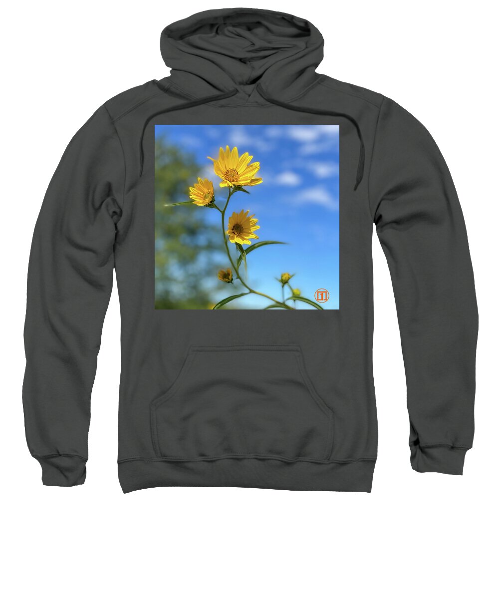 Sunflower Sweatshirt featuring the photograph Sawtoothed Sunflowers by Grey Coopre