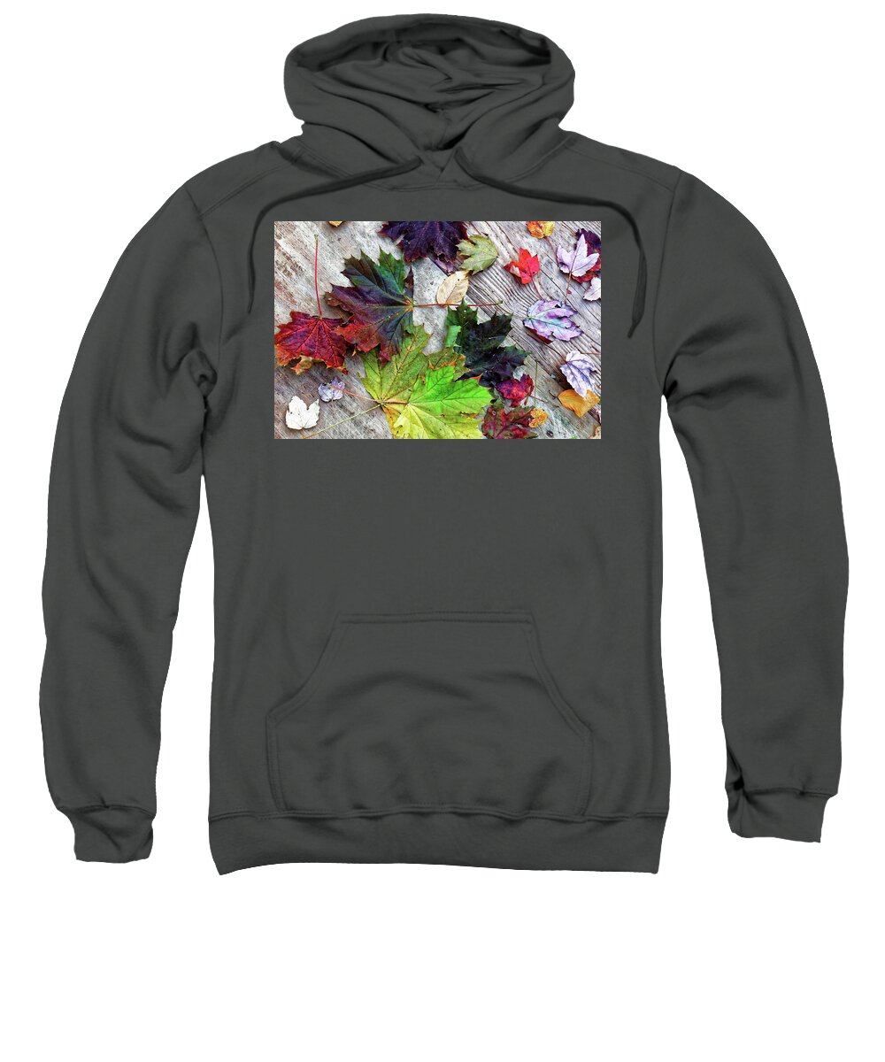 Scattered Autumn Leaves Sweatshirt featuring the photograph Scattered Autumn Leaves by Doolittle Photography and Art