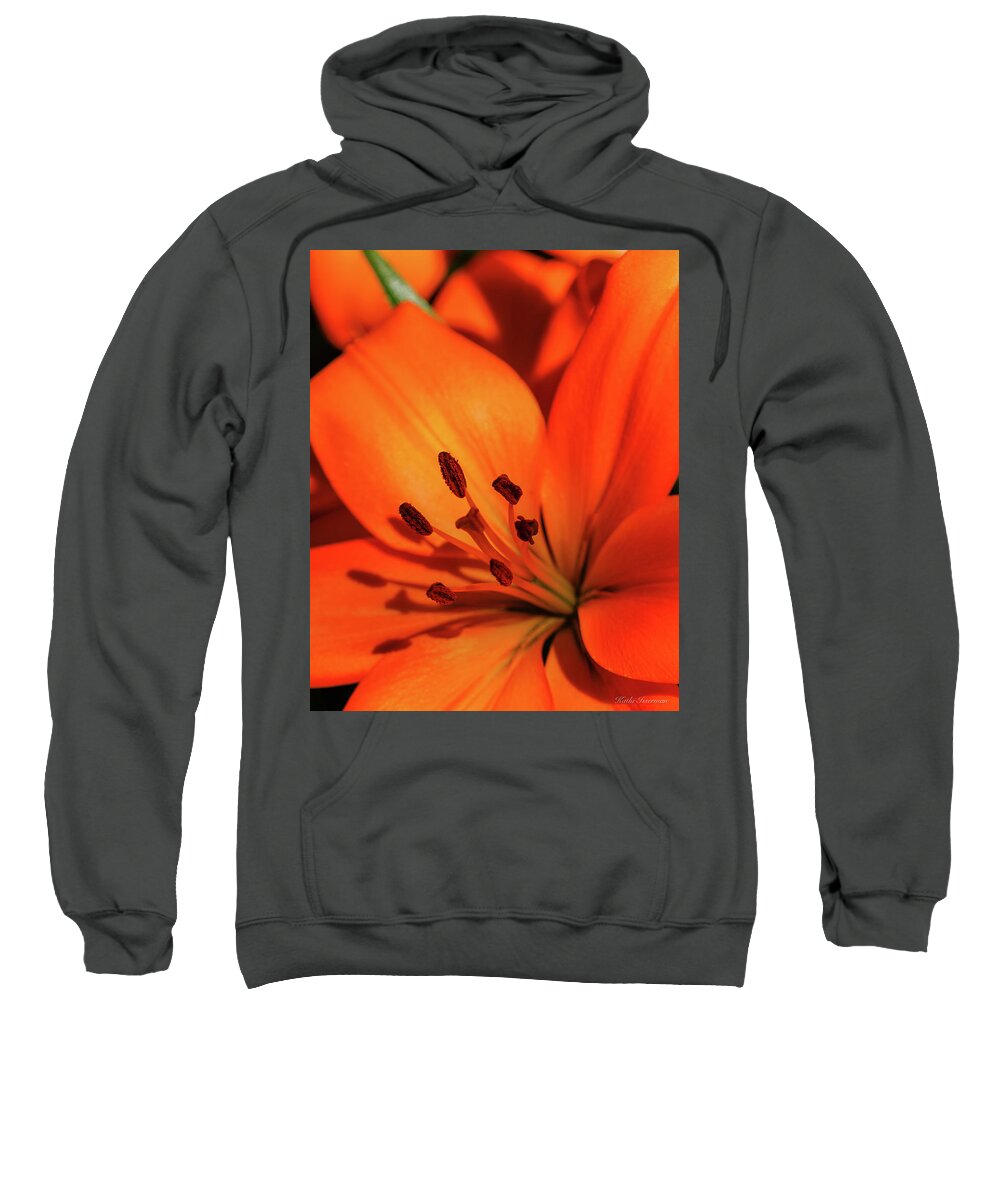 2021 Sweatshirt featuring the photograph Shadows of my Stamen by Kathi Isserman