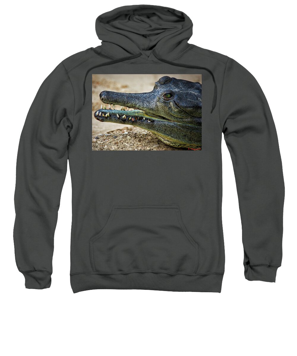Gharial Sweatshirt featuring the photograph Short Nose Gharial by Rene Vasquez