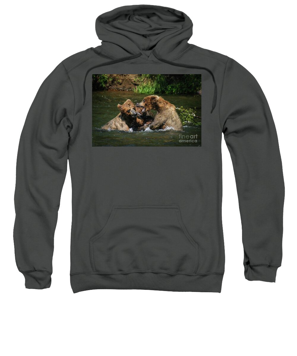 Bear Sweatshirt featuring the photograph Sibling feud by Ed Stokes