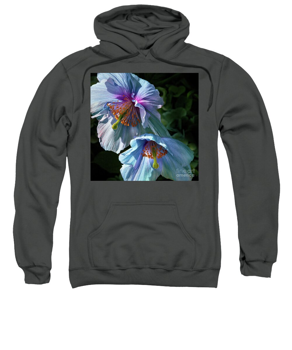 Conservatories Sweatshirt featuring the photograph Silk Poppies by Marilyn Cornwell