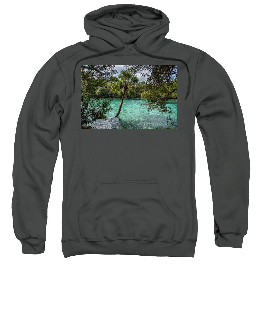Silver Glen Springs Sweatshirt featuring the photograph Silver Glen Springs Palm by Joey Waves