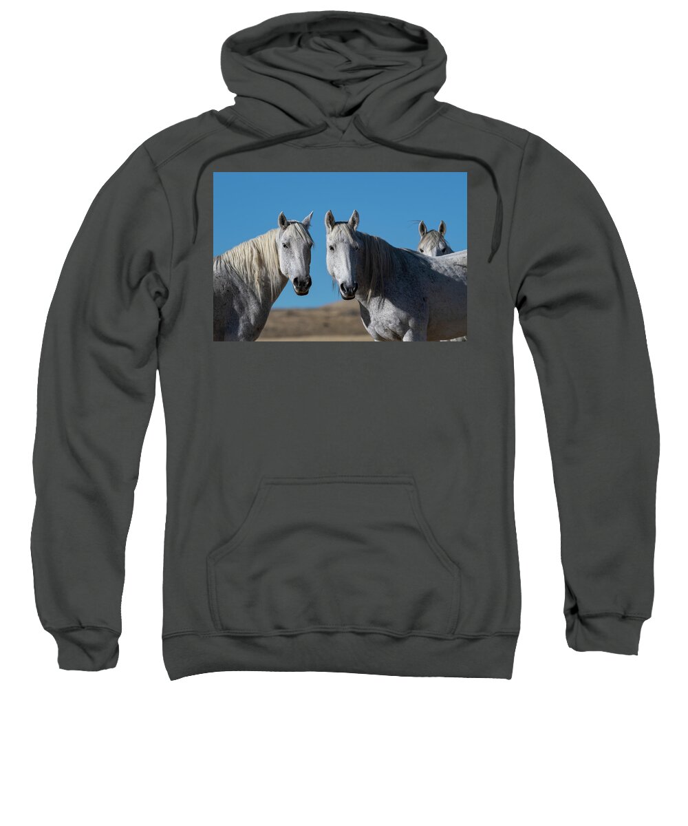 Wild Horses Sweatshirt featuring the photograph Sisters in Life by Mary Hone