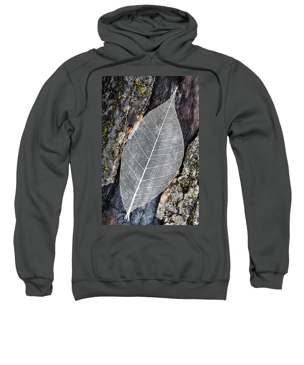Skeleton Leaf Sweatshirt featuring the photograph Skeleton Leaf On Tree Trunk by Gary Slawsky