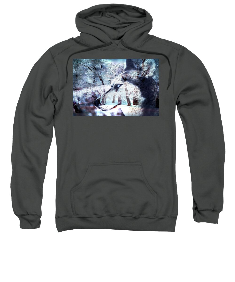 Sled Dog Dreams Sweatshirt featuring the photograph Sled Dog Dreams by Susan Maxwell Schmidt