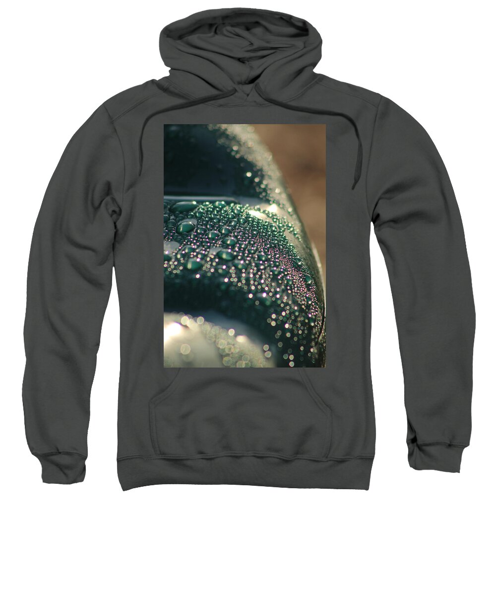 Jane Ford Sweatshirt featuring the photograph Slide by Jane Ford