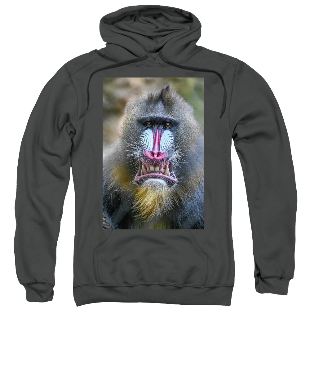 Monkey Sweatshirt featuring the photograph Smile for the Camera by Ed Stokes
