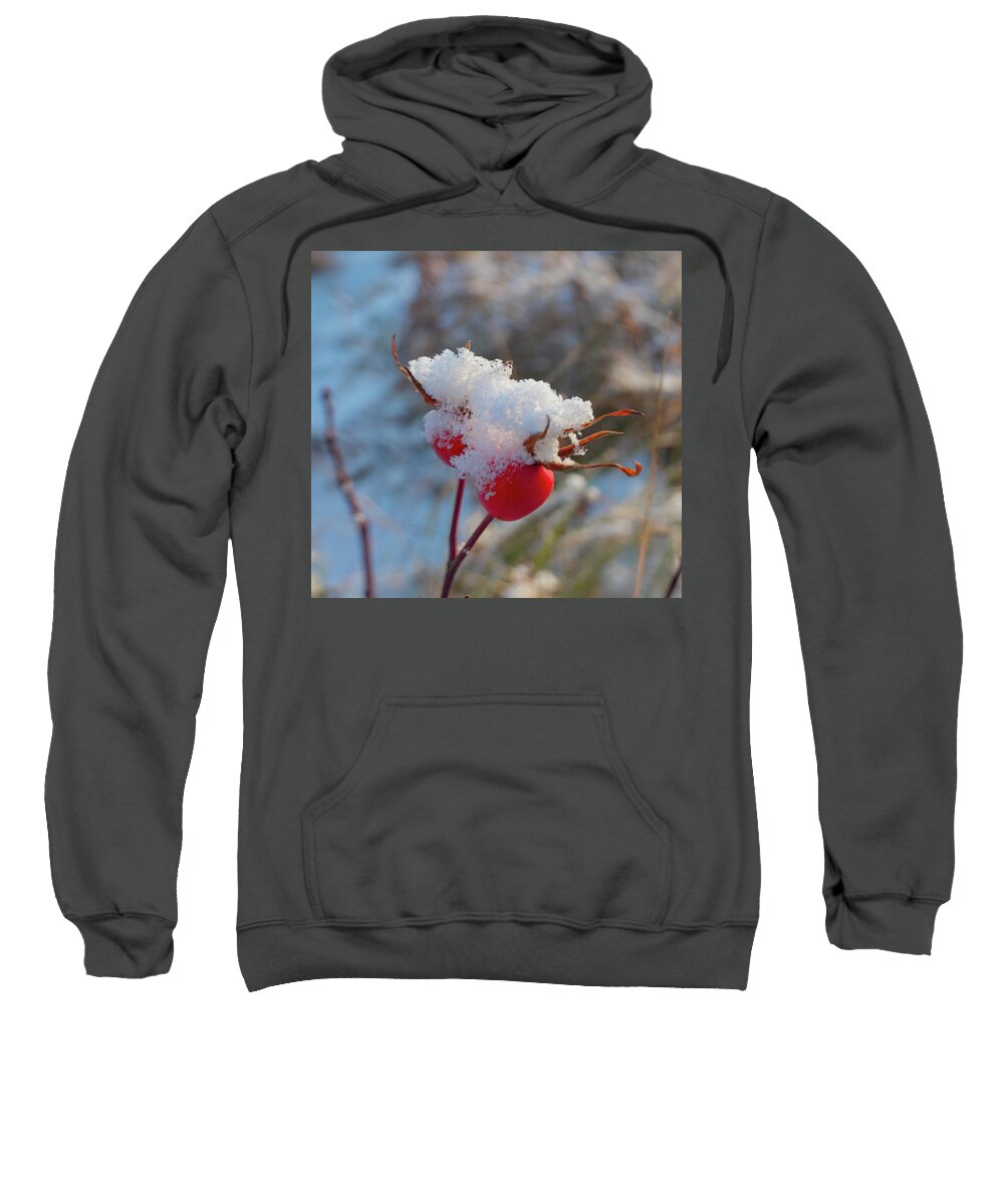 Rose Hips Sweatshirt featuring the photograph Snow On Rose Hips by Karen Rispin