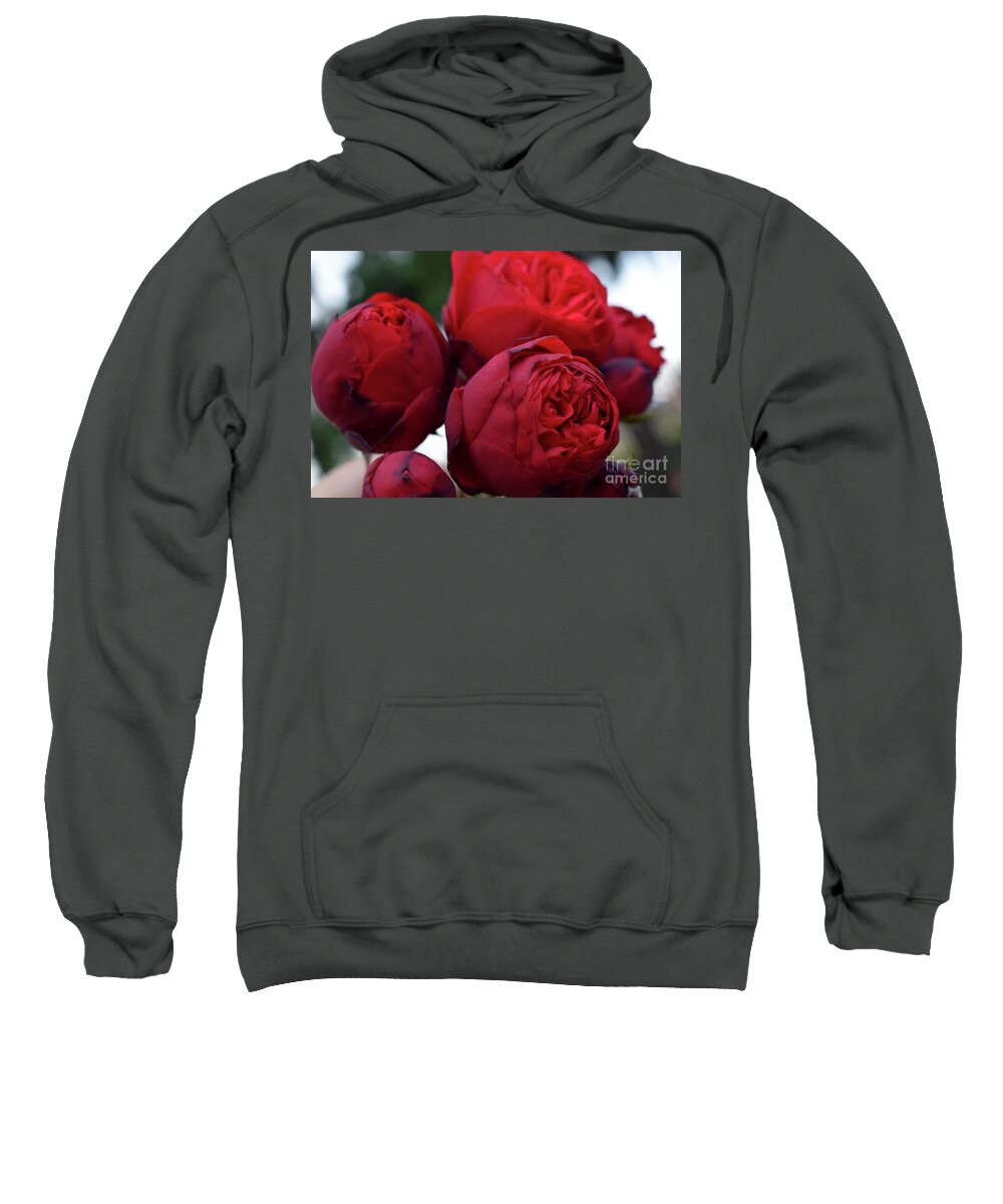 Nature Sweatshirt featuring the photograph Soft Kisses Of Rose by Leonida Arte