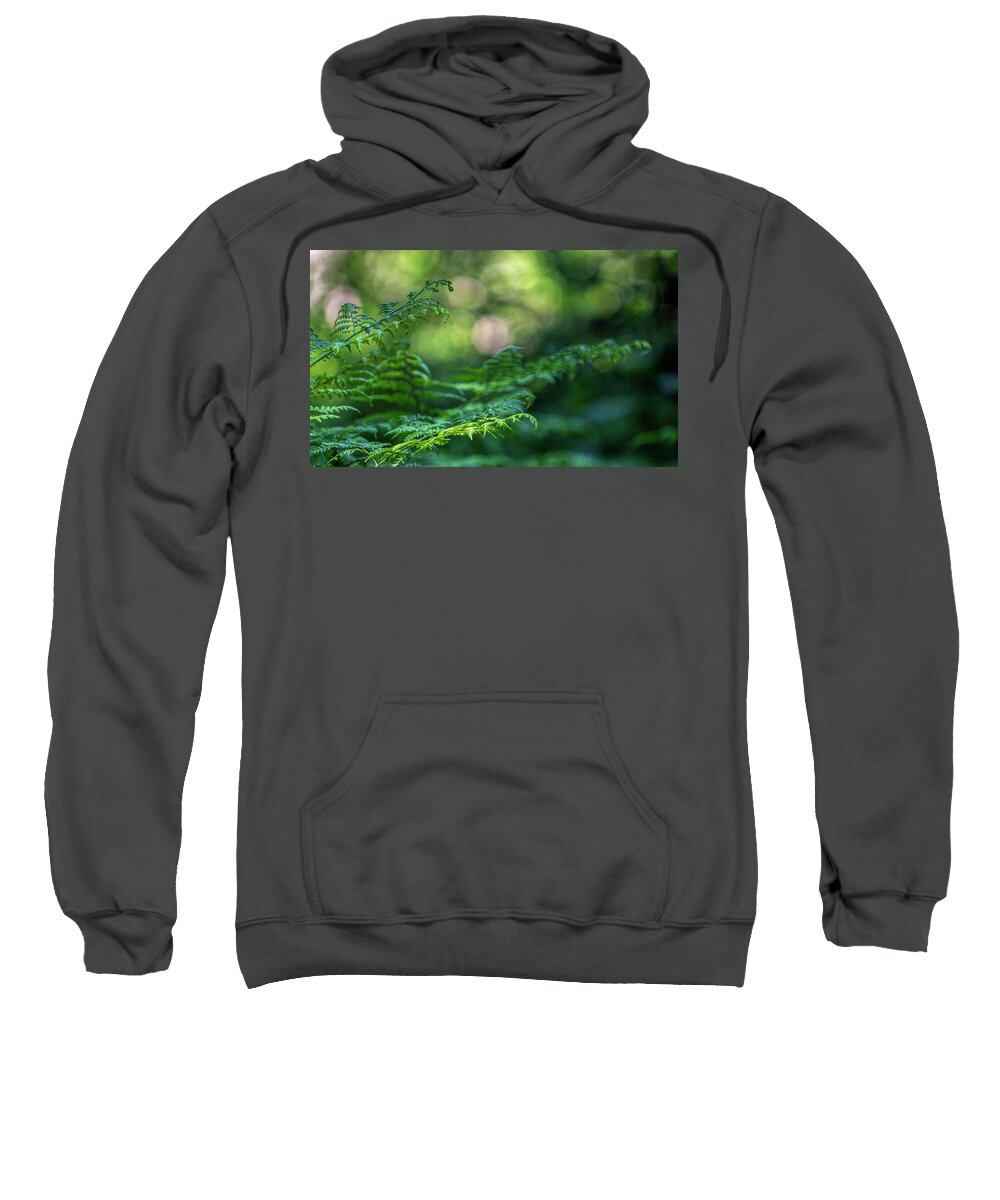 Green Sweatshirt featuring the photograph Soft Light Ferns by Pamela Dunn-Parrish